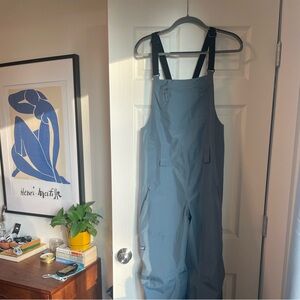 Patagonia Women’s Powder Town Bibs